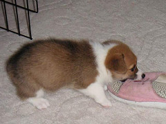 Resize of PICT0554_thumb.jpg